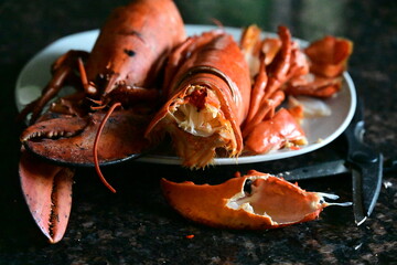 delicious lobster on the background