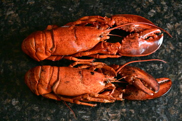 delicious lobster on the background