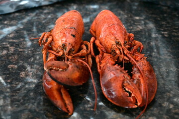 delicious lobster on the background