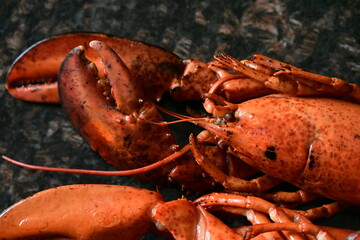 delicious lobster on the background