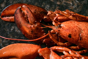 delicious lobster on the background
