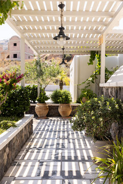 Beautiful and stylish patio with potted plants, trees, and shadows 