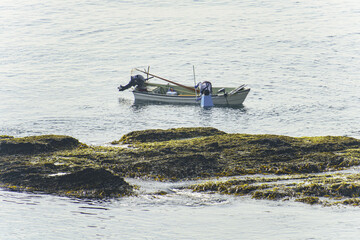 早朝から漁をする小舟