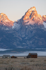 First morning light on the Teton mountain range wih Mormon row in the foreground