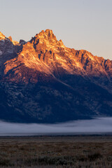 First morning light on the Teton mountain range wih Mormon row in the foreground