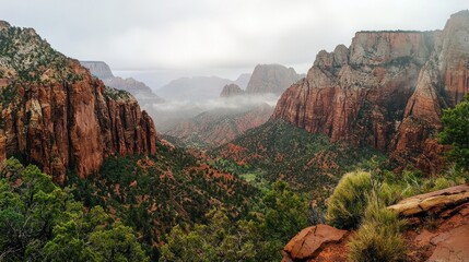 Misty mountain valley