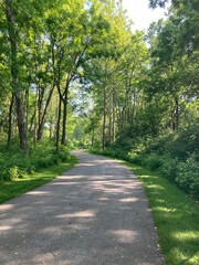 path in the park