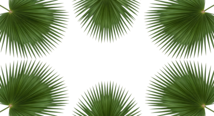 Palm Frond Border Frame