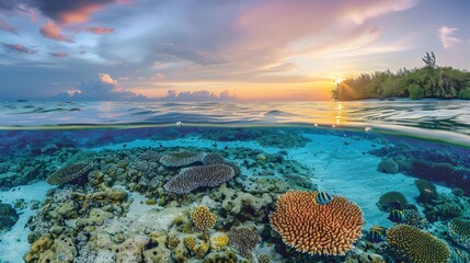 Colorful coral reef sunrise landscape