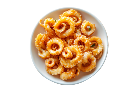 Fried squid on plate isolated on a transparent background