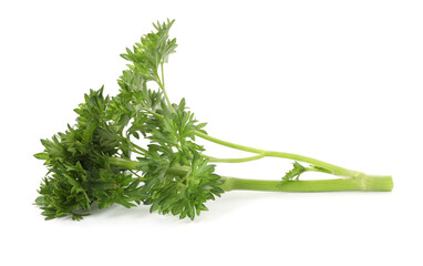Sprig of fresh parsley isolated on white