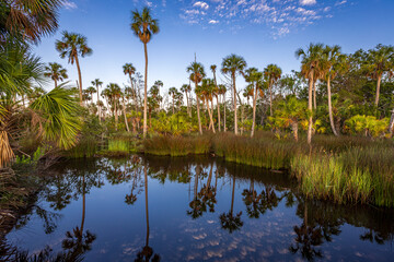 Early morning photograph at the Lower Suwanee National Wildlife Refuge in North Florida with beautiful reflections