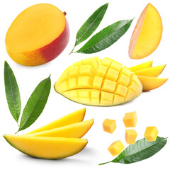 Tasty sweet mango fruits and green leaves on white background, collage