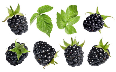 Fresh blackberries and green leaves on white background, collage