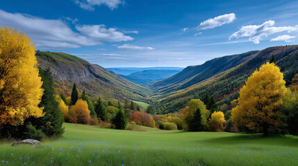 Expansive valley adorned with golden and orange trees reflecting autumn hues. Lush greenery spread across rolling hills under clear blue sky
