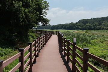 the wooden bridge of the Sunley park Reservoir