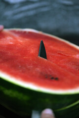 water melon slices