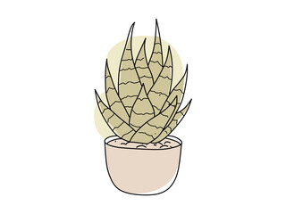colorful cactus vector for ornamental plants