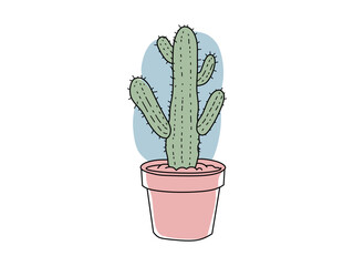 colorful cactus vector for ornamental plants