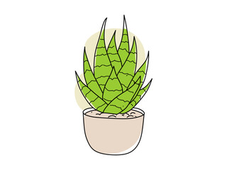colorful cactus vector for ornamental plants