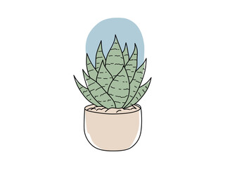 colorful cactus vector for ornamental plants