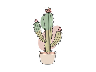 colorful cactus vector for ornamental plants