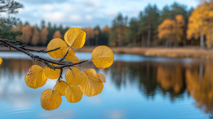 Golden autumn leaves on a branch contrast with the blurred lake and forest backdrop serenity.