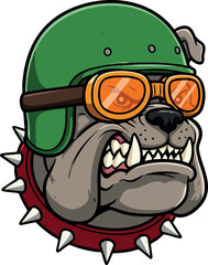 Obraz premium Bulldog wearing green helmet and orange goggles aggressive expression vector illustration 