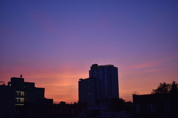 cotton candy sunset skies in city