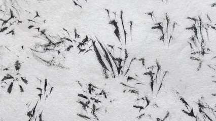 background material, hand-drawn, analog, art drawn in ink, drawing created with ink and brush