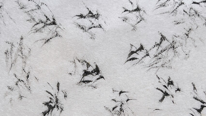 background material, hand-drawn, analog, art drawn in ink, drawing created with ink and brush