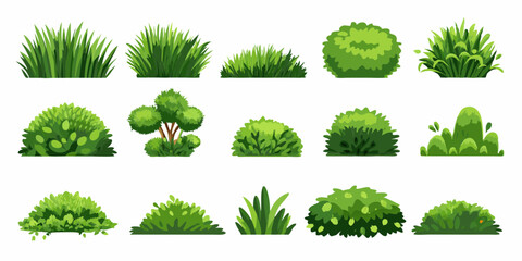 Cartoon shrub bush set. Garden green decoration bushes, illustrated hedge shrubs plants isolated on white background