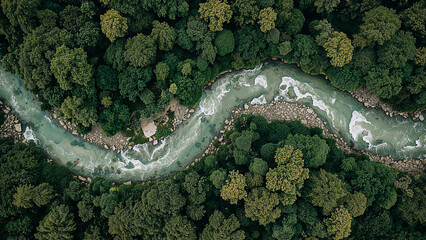 Aerial view serene river bend lush green landscape tranquil nature scene