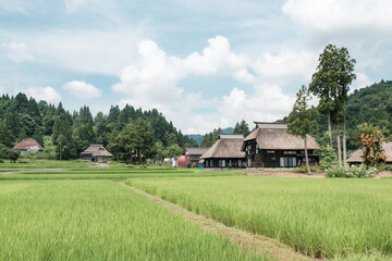 荻ノ島環状集落　夏