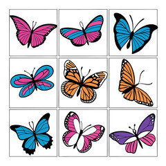 Colorful Butterfly Collage: A collection of vibrant, fluttering butterflies, each with unique patterns and colors, arranged in a captivating collage, celebrating the beauty of insect.