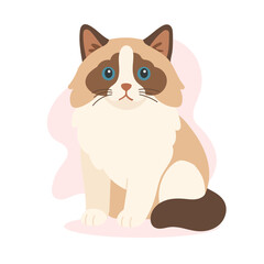 Ragdoll cat with long creamy fur and blue eyes sits still. This ragdoll cat artwork captures gentleness and calm character of ragdoll cat breed.
