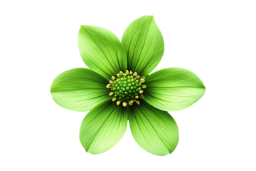 green flower isolated on a transparent background