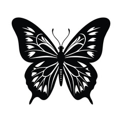 a-silhouette-butterfly