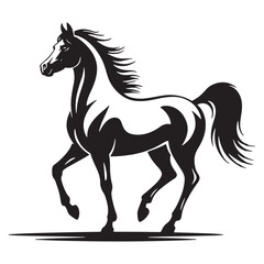Elegant arabian horse silhouette