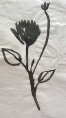 flower, grass leaves drawn in sumi ink, sumi ink painting brushstroke drawing, washi paper texture background material, brush pen art drawing, washi paper material 