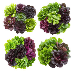 Fresh Mixed Leafy Greens Variety for Healthy Cooking and Nutrition