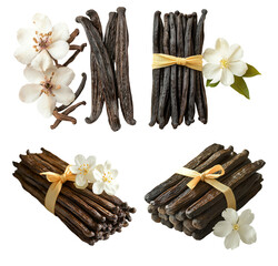 Fresh Vanilla Pods and Blossoms on White Background for Culinary Use