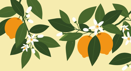 Stylized Orange Tree Branches with Blossoms and Ripe Fruit Illustration. © agra