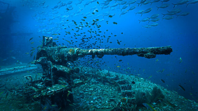 Underwater photography of a canon, gun at the united states military shipwreck HTMS Prab Wreck. From a scuba dive in Thailand. - Powered by Adobe