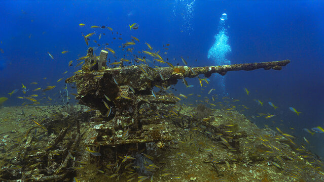 Underwater photography of a canon, gun at the united states military shipwreck HTMS Prab Wreck. From a scuba dive in Thailand.