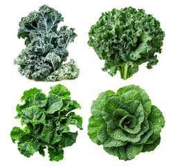 Fresh and Vibrant Green Leafy Vegetables with Water Droplets on Background