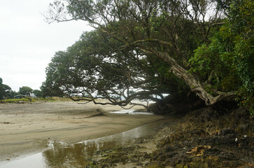 Beautiful view at Waipu beach in Whangarei, New Zealand on cloudy day.