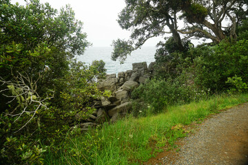 Beautiful view at Waipu beach in Whangarei, New Zealand on cloudy day.