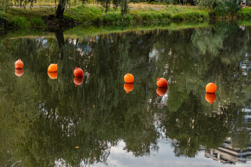 Six orange buoys float in row across reflective lake with trees and sky mirrored in surface.
