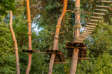 Wood platforms and rope bridges suspended between tall pine trees for outdoor adventure climbing course.
